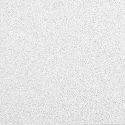 Placa Cielorraso Desmontable 61x61 Ultima 1910 m2 ARMSTRONG